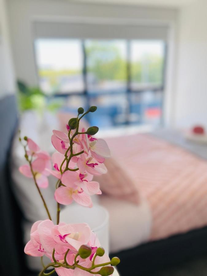 Walking Distance To Riverside Market & Hospital كريستتشيرش المظهر الخارجي الصورة