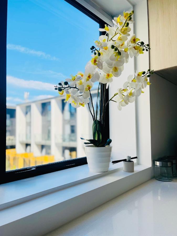 Walking Distance To Riverside Market & Hospital كريستتشيرش المظهر الخارجي الصورة